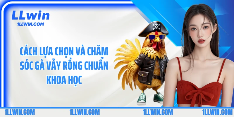 Cách lựa chọn và chăm sóc gà vảy rồng chuẩn khoa học