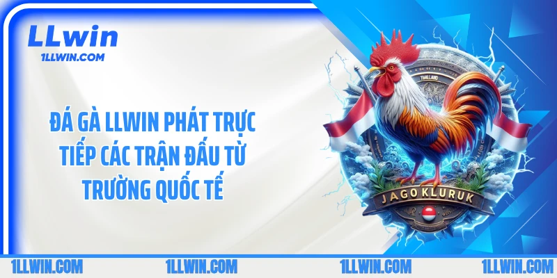 Đá gà LLWIN phát trực tiếp các trận đấu từ trường quốc tế