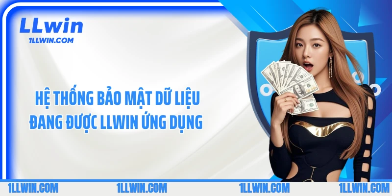Hệ thống bảo mật dữ liệu đang được LLWIN ứng dụng 