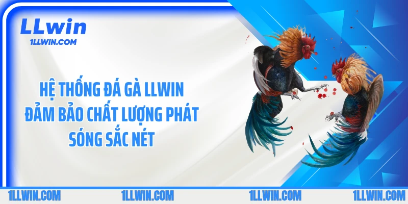 Hệ thống đá gà LLWIN đảm bảo chất lượng phát sóng sắc nét