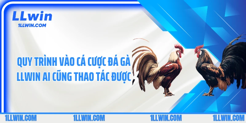 Quy trình vào cá cược đá gà LLWIN ai cũng thao tác được